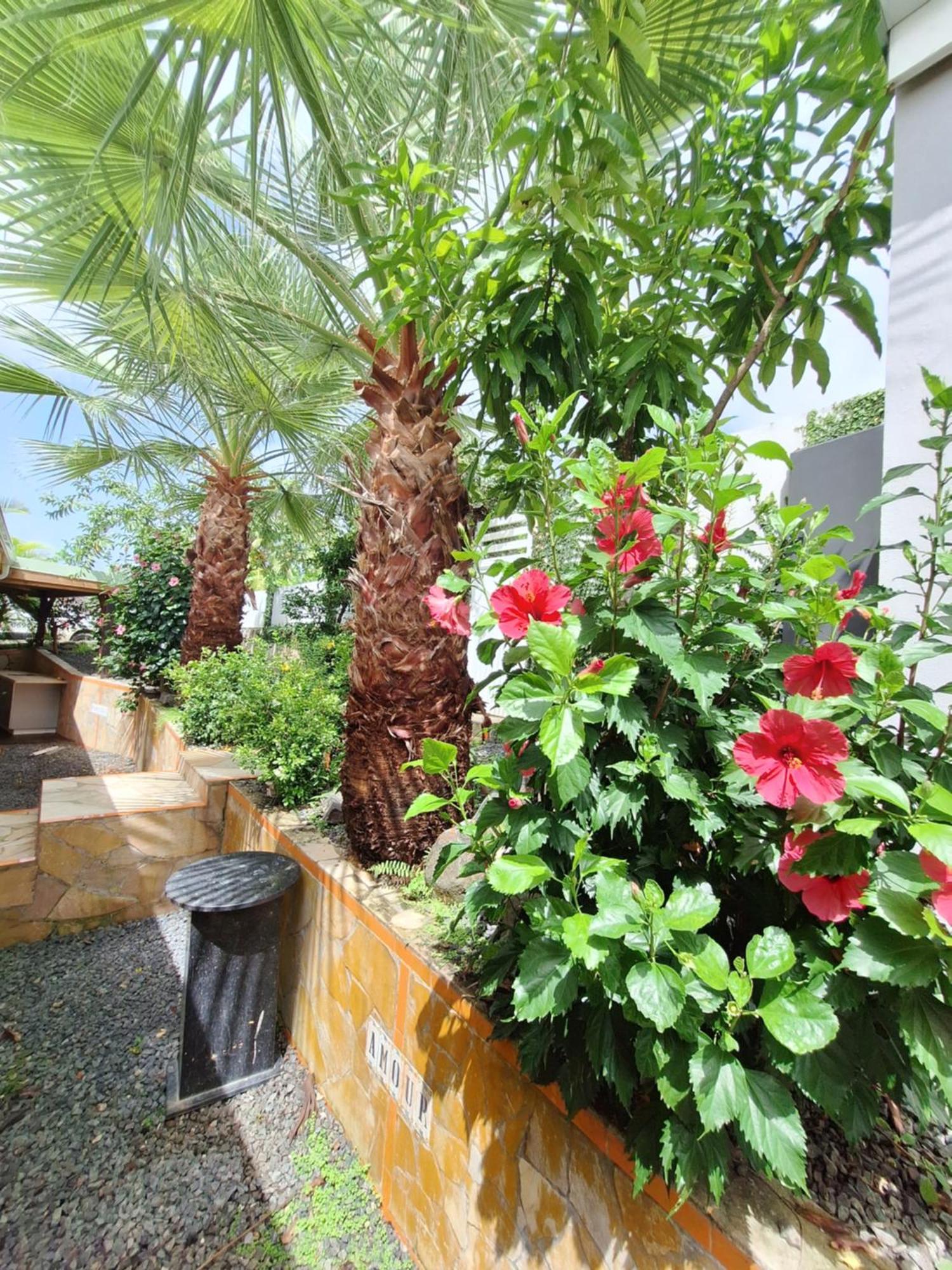 River Paradise Goyave Exterior foto